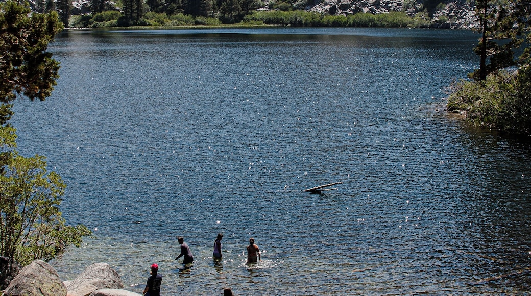 Brave souls in some COLD water at Eagle Lake CA