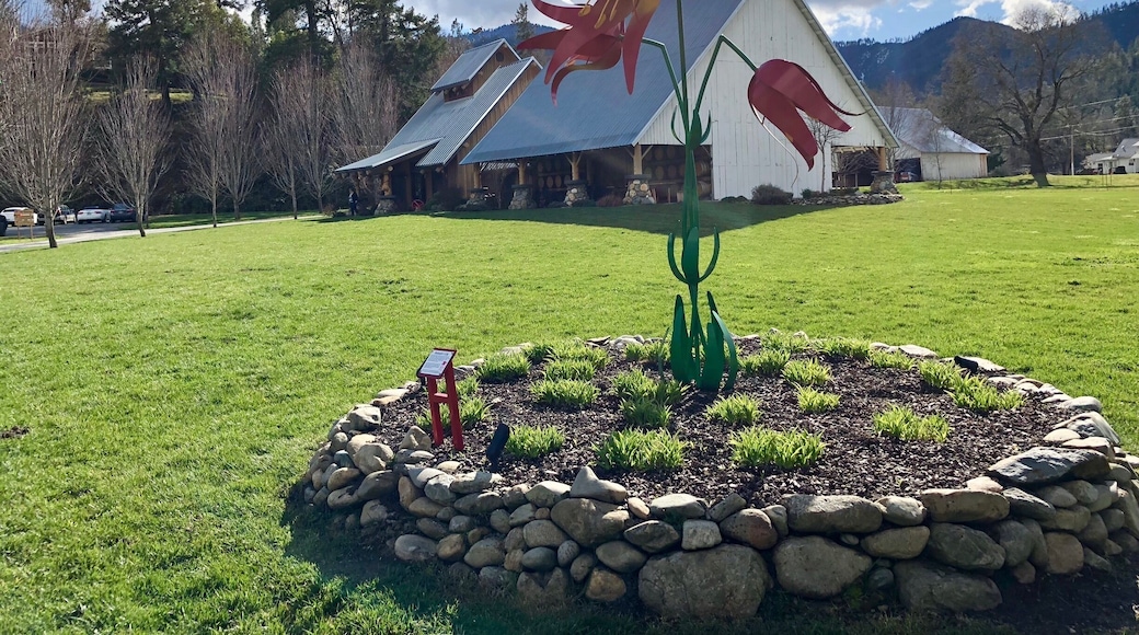 One of about a dozen wineries located here along the Applegate Wine Trail.