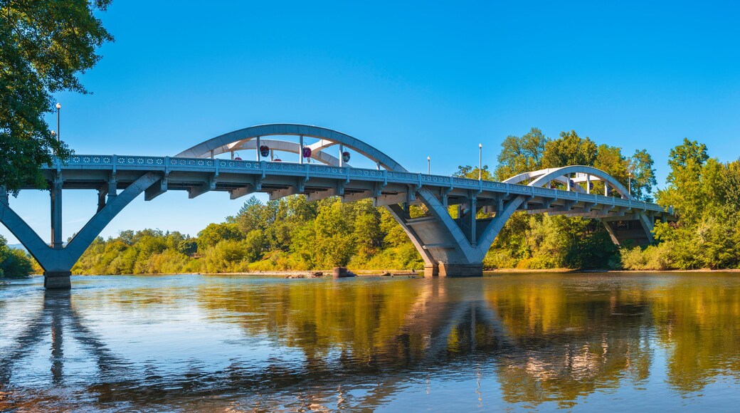 A bridge over a river with trees and a clear sky.