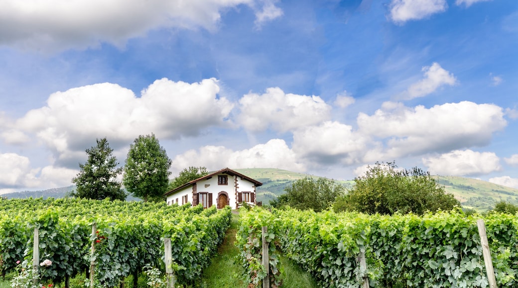 Pyrenees Vineyard & Cellars