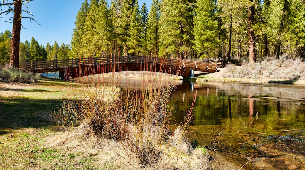 칼리어 기념주립공원
