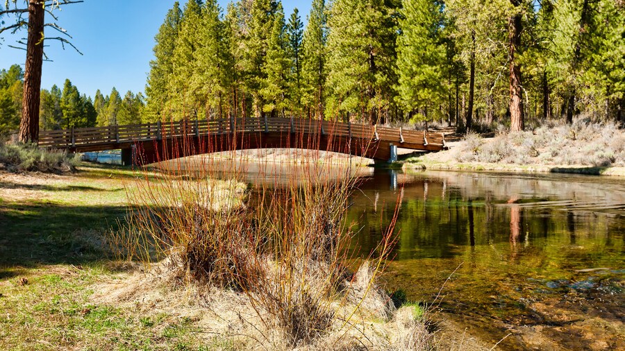 Parc d'état Collier Memorial