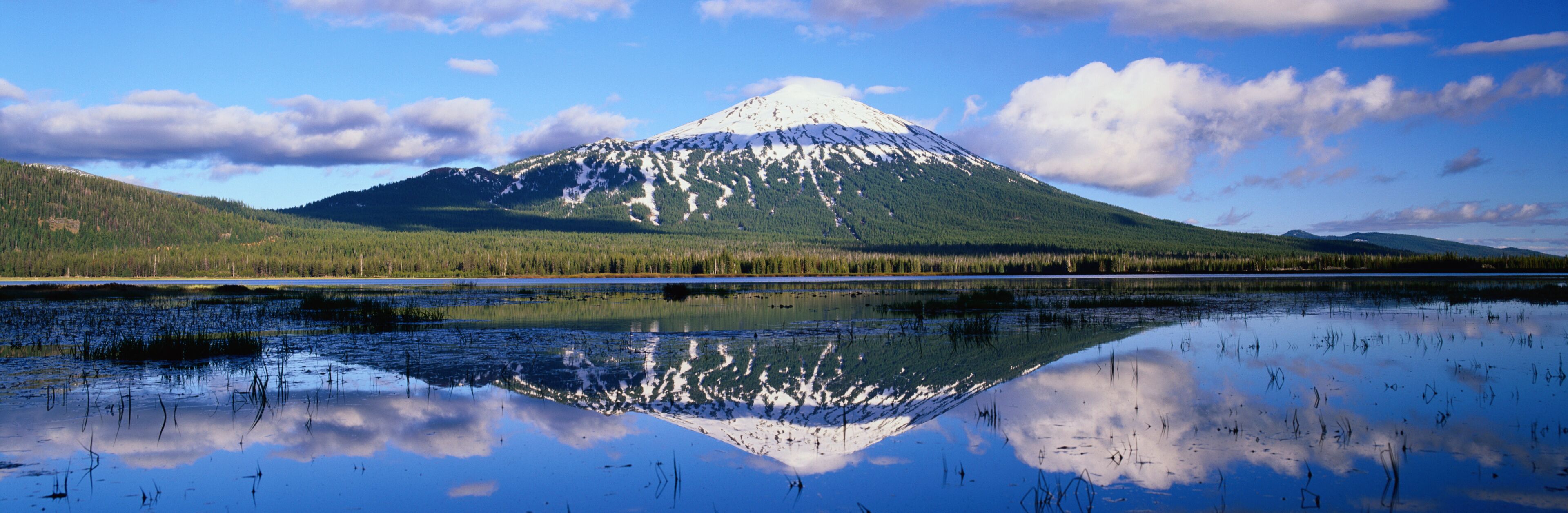 Mount Bachelor Reflected in Sparks Lake