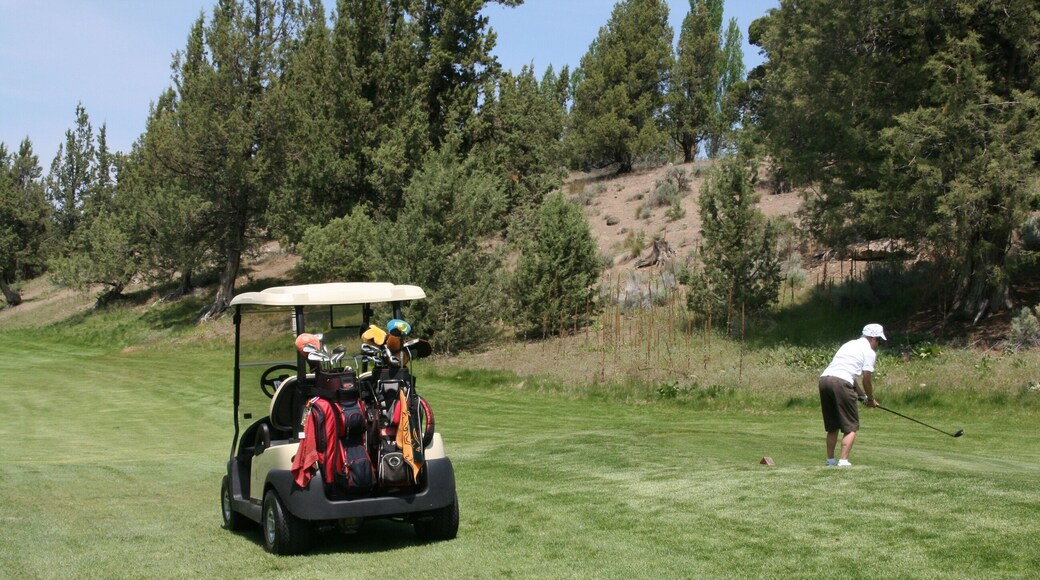 Parcours de golf de Eagle Crest Resort