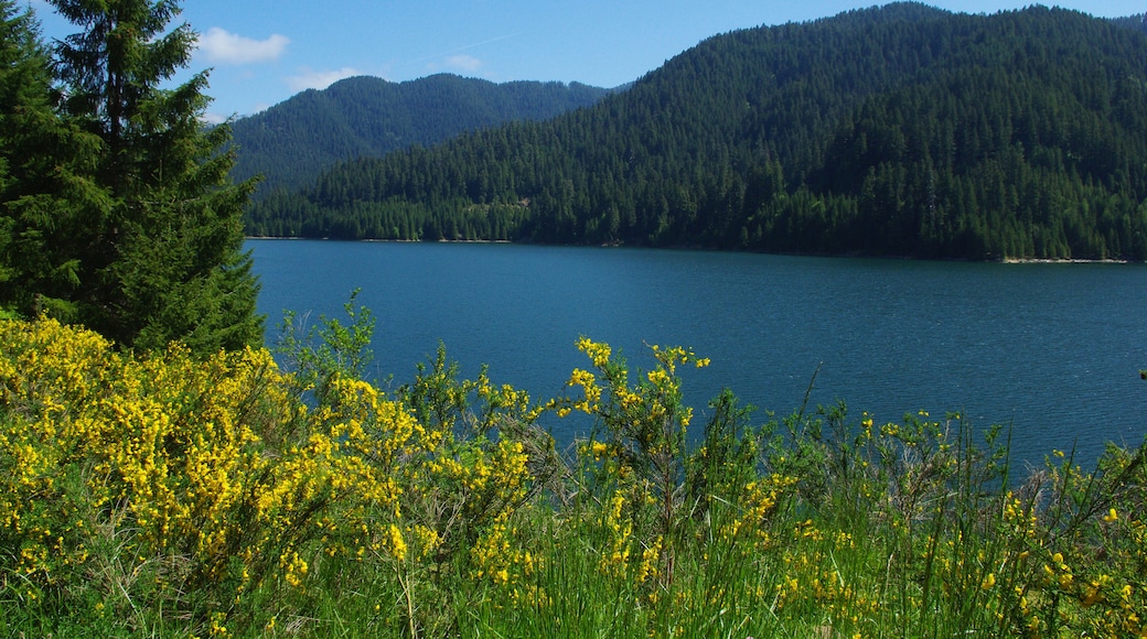 Parco Statale Detroit Lake