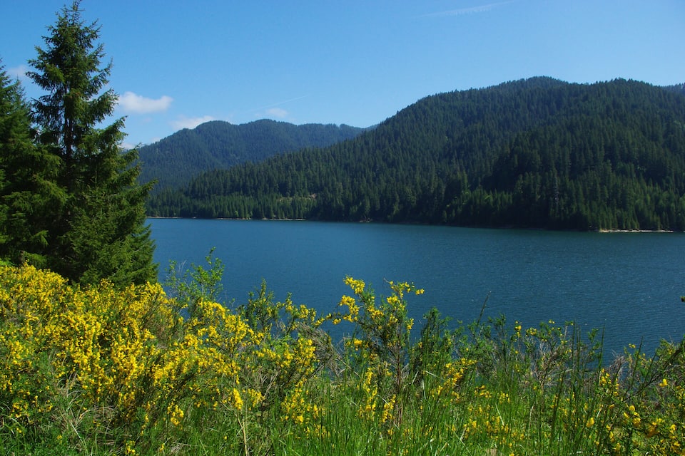 Un lac entouré d’une forêt dense et de montagnes.