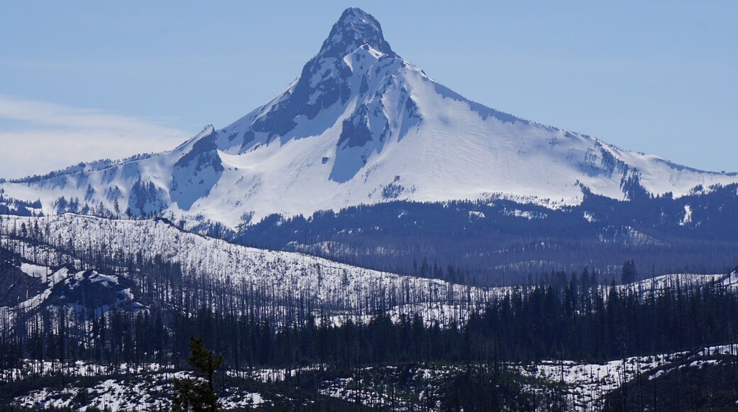 Majestic Mt Jefferson on the way to Sisters Oregon.