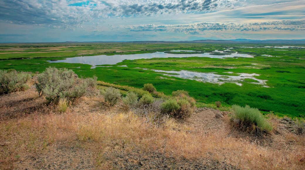 Eastern Oregon is one of the most scenic places on earth. It is like visiting all the National Parks combined without the crowds. From stunning deserts and savanna to spectacular wetlands, grab your camping gear and go explore! #Oregon #Malheur #ExtremeOregon