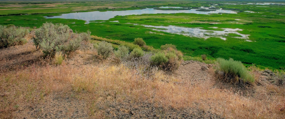 Eastern Oregon is one of the most scenic places on earth. It is like visiting all the National Parks combined without the crowds. From stunning deserts and savanna to spectacular wetlands, grab your camping gear and go explore! #Oregon #Malheur #ExtremeOregon