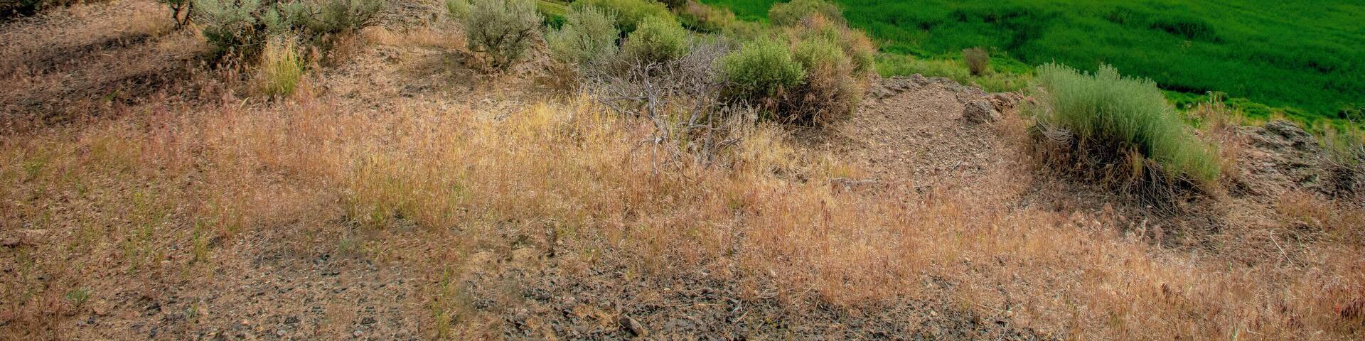 Eastern Oregon is one of the most scenic places on earth. It is like visiting all the National Parks combined without the crowds. From stunning deserts and savanna to spectacular wetlands, grab your camping gear and go explore! #Oregon #Malheur #ExtremeOregon