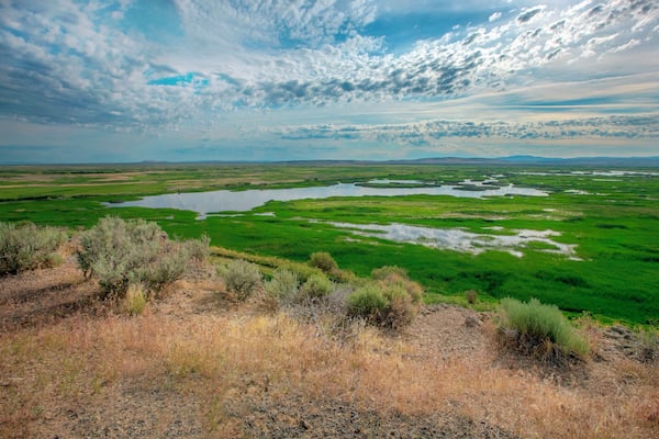 Eastern Oregon is one of the most scenic places on earth. It is like visiting all the National Parks combined without the crowds. From stunning deserts and savanna to spectacular wetlands, grab your camping gear and go explore! #Oregon #Malheur #ExtremeOregon