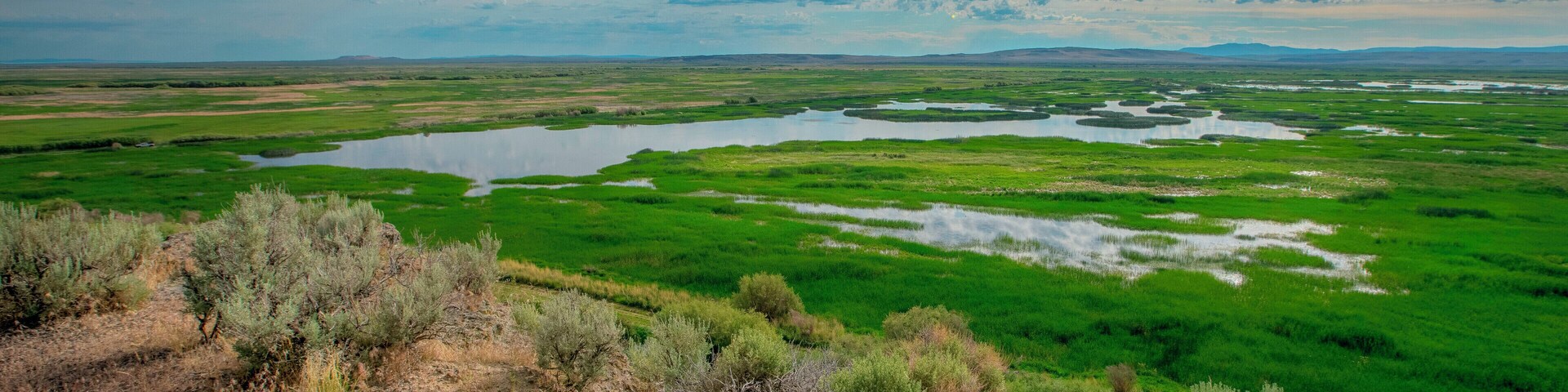 Eastern Oregon is one of the most scenic places on earth. It is like visiting all the National Parks combined without the crowds. From stunning deserts and savanna to spectacular wetlands, grab your camping gear and go explore! #Oregon #Malheur #ExtremeOregon