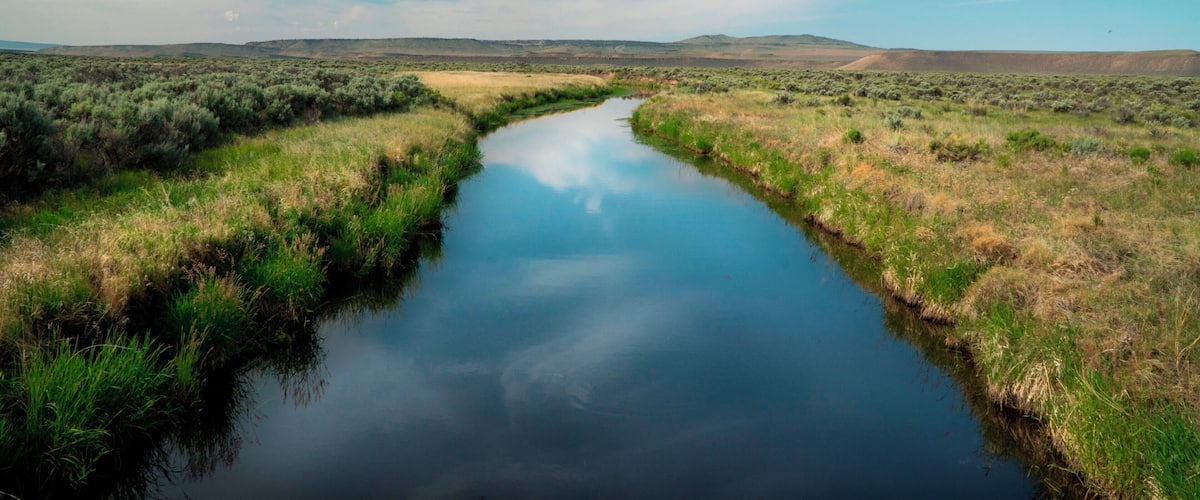The Blitzen River feeds the wetlands at Malheur Wildlife Refuge. Malheur is a bird watcher paradise. #Oregon #extremeOregon #Malheur