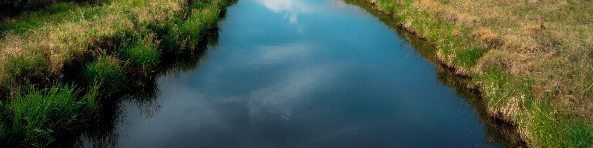 A river winding through a grassy landscape with distant hills under a clear sky.