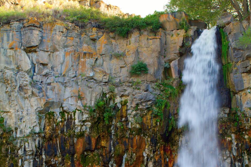 Una cascada que es precipita per una roca escarpada amb zones de vegetació verda.