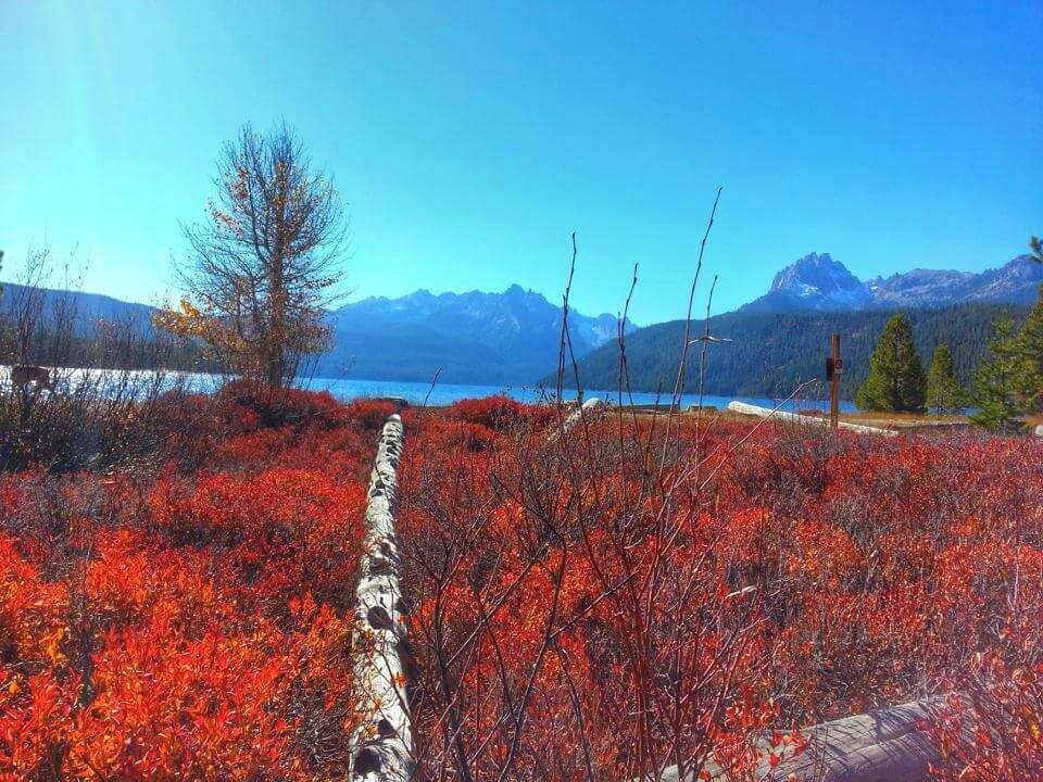 Redfish Lake in the fall. 