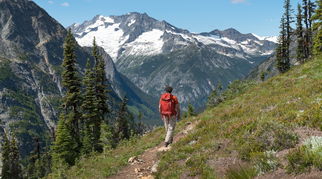 Adult male hiker with red backpack on Fisher Creek Trail near Easy Pass. Mount Logan is in the distance. North Cascades National Park Washington. Washington. United States