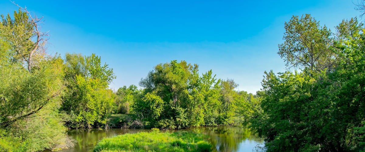 A calm river surrounded by lush greenery and trees.
