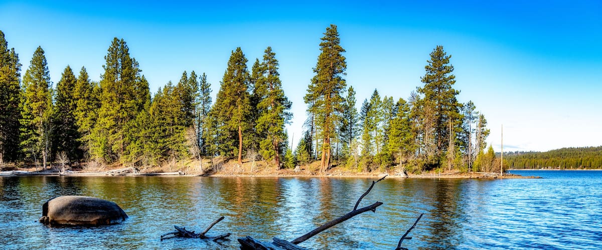 Idaho State Ponderosa Park with tree hanging over the lake