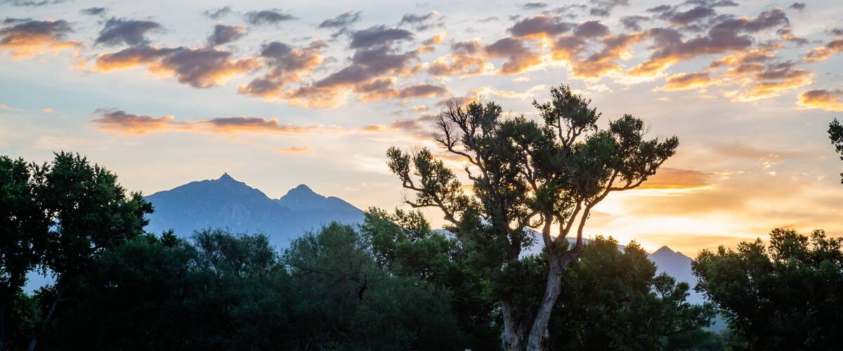 The junction between pasture and golf course with a background of mountains and sunrise. Southern Arizona.