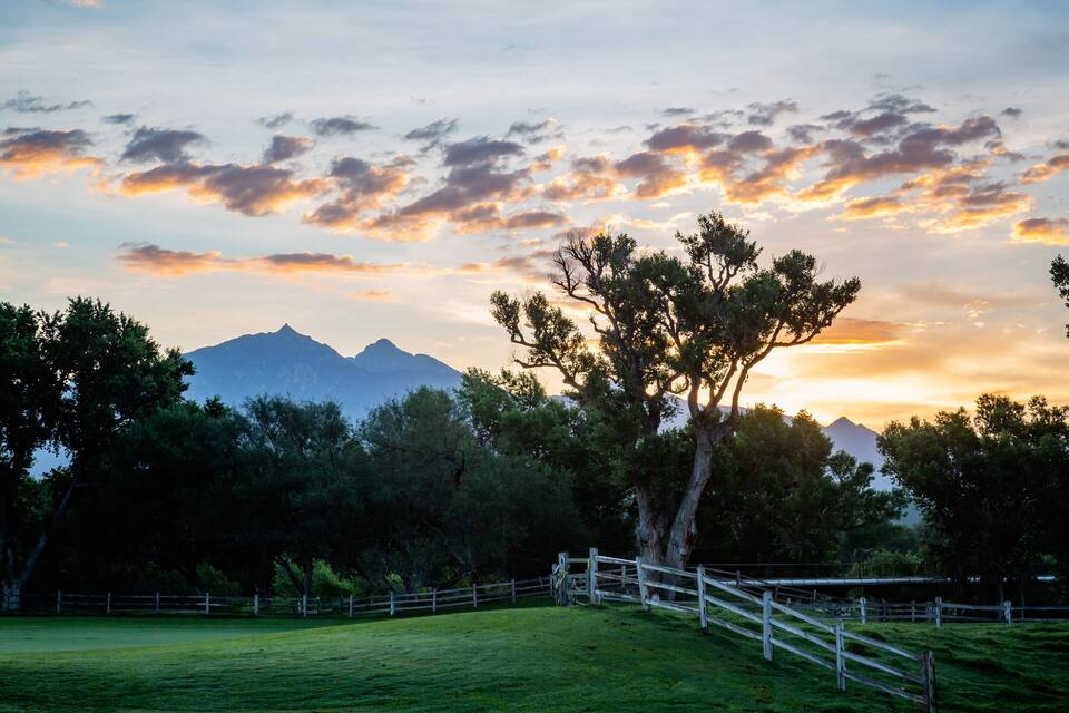 A grassy field with a wooden fence, trees, and mountains in the background.