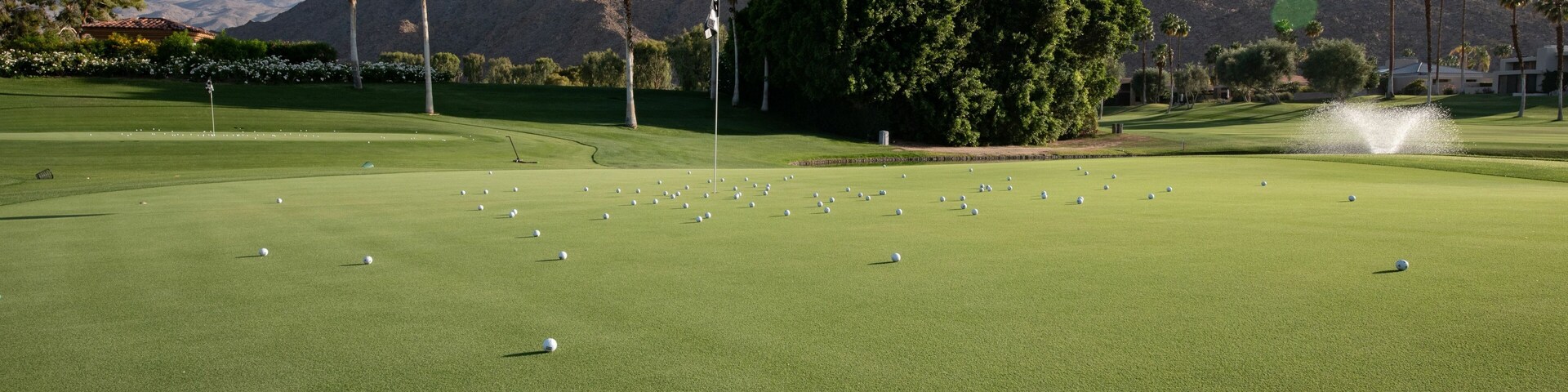 Lush green fairway of the Palm Valley Country Club golf course, with a blue sky in the background.