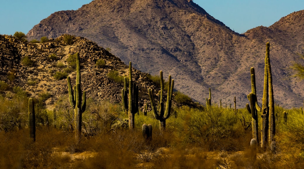 San Tan Mountain Regional Park