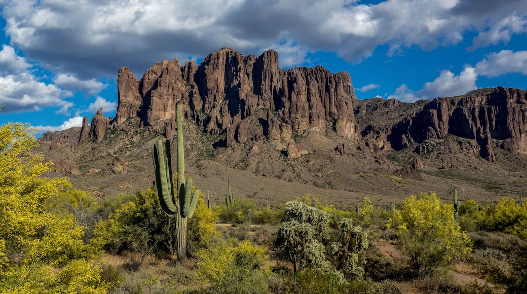 Lost Dutchman State Park