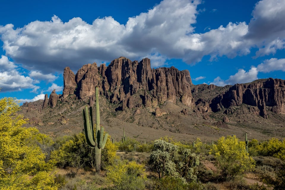 A desert landscape with prominent rock formations and cacti.