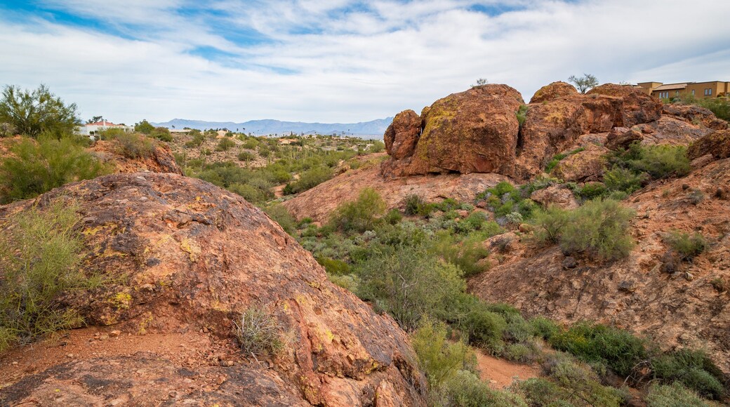 Fountain Hills Botanical Garden