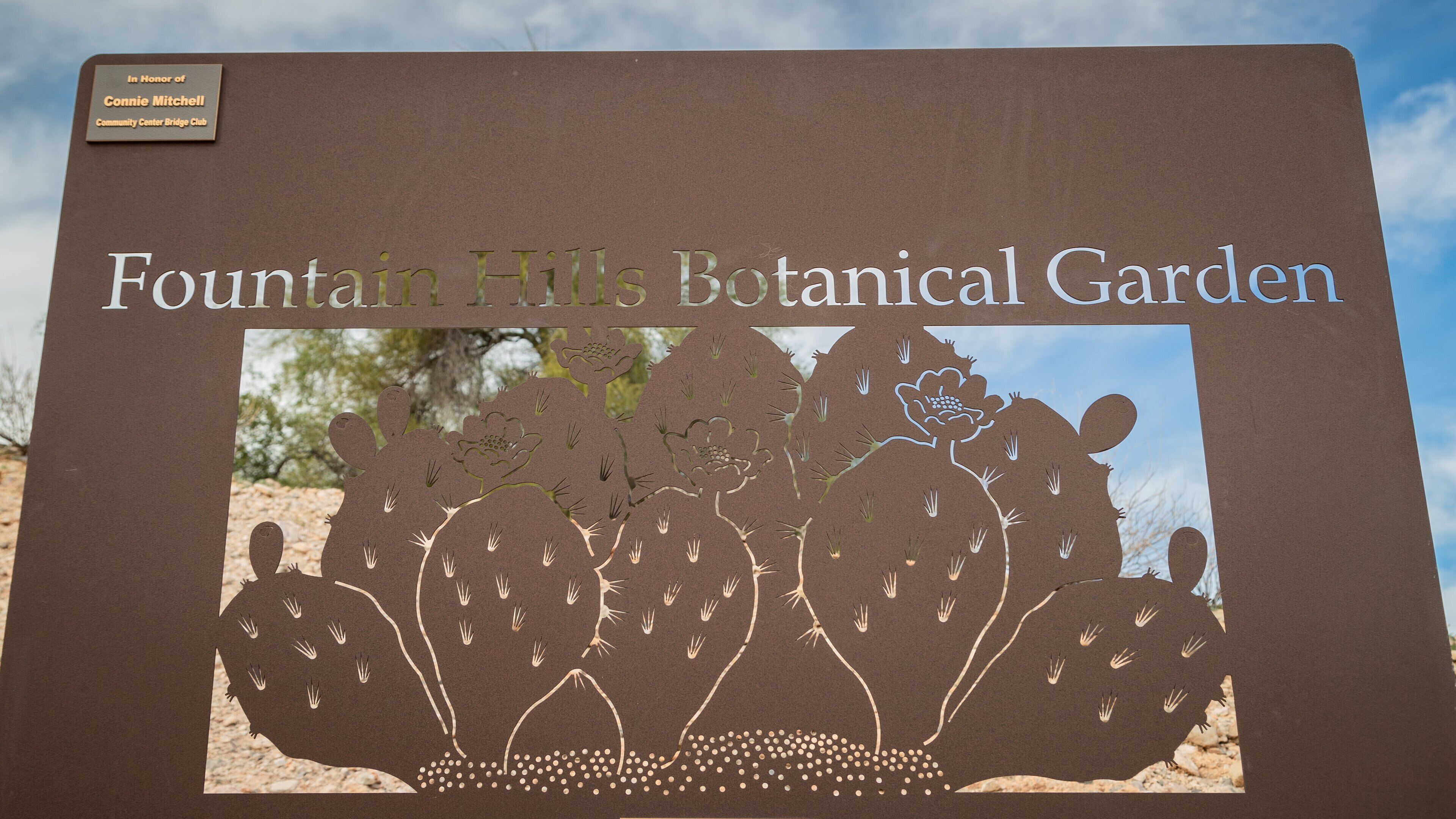 Fountain Hills Botanical Garden