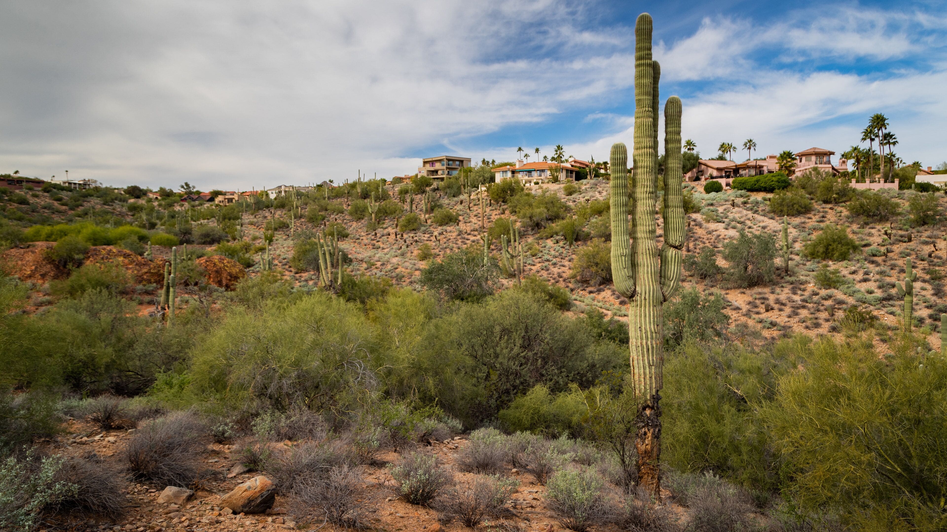 Fountain Hills Botanical Garden featuring desert views