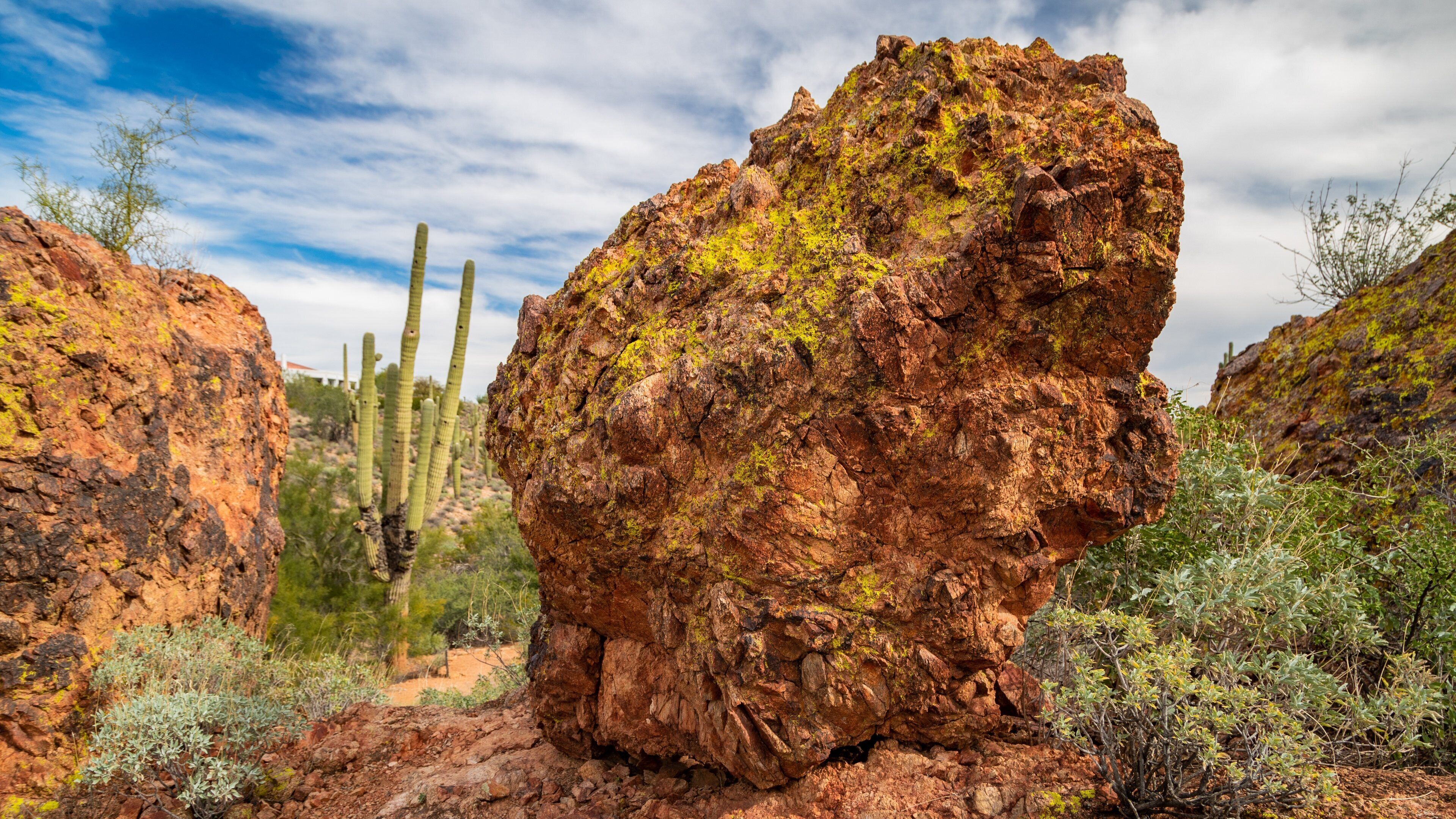 A rocky desert landscape with a prominent rock formation, cacti, and sparse vegetation.