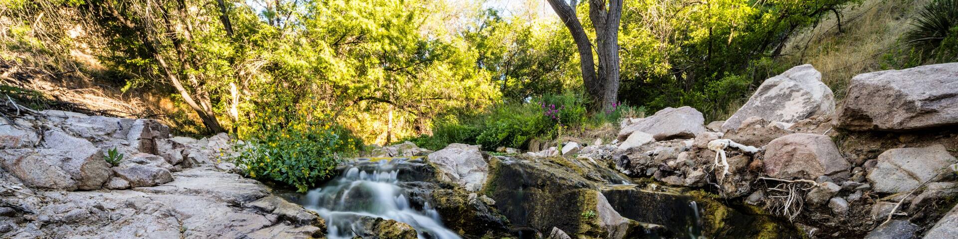 small cascading waterfall and stream in a natural park area