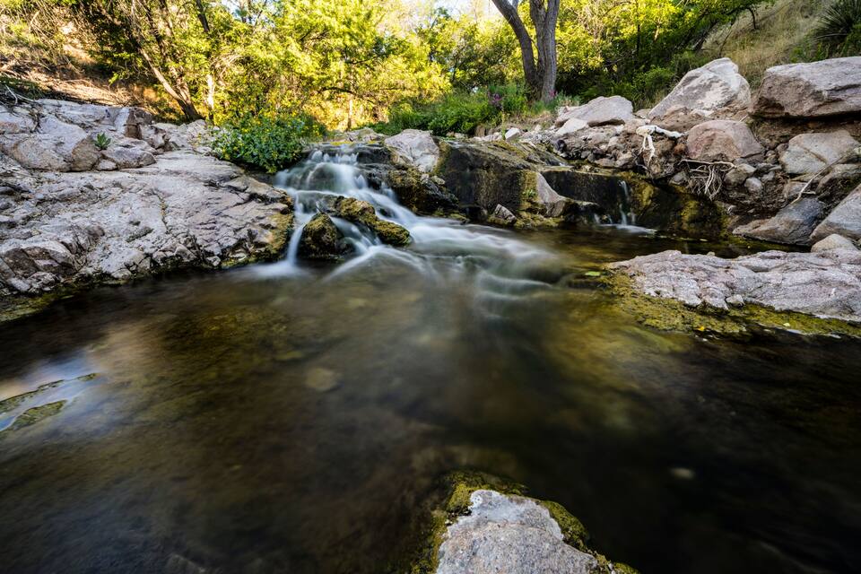 A clear stream flowing over rocks, surrounded by lush greenery and trees.