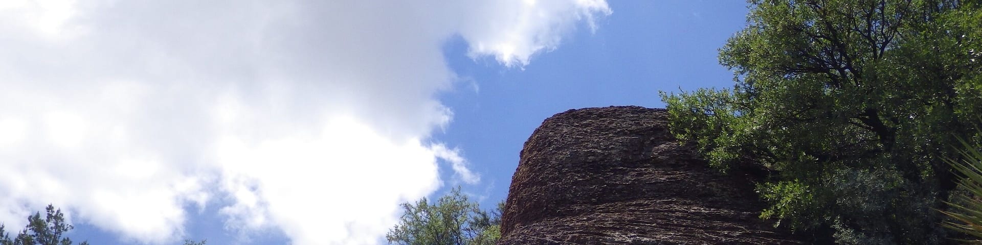 The desert doesn't get enough credit. #davismountains