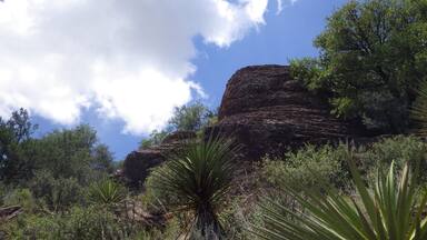 The desert doesn't get enough credit. #davismountains