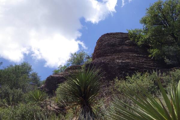 The desert doesn't get enough credit. #davismountains