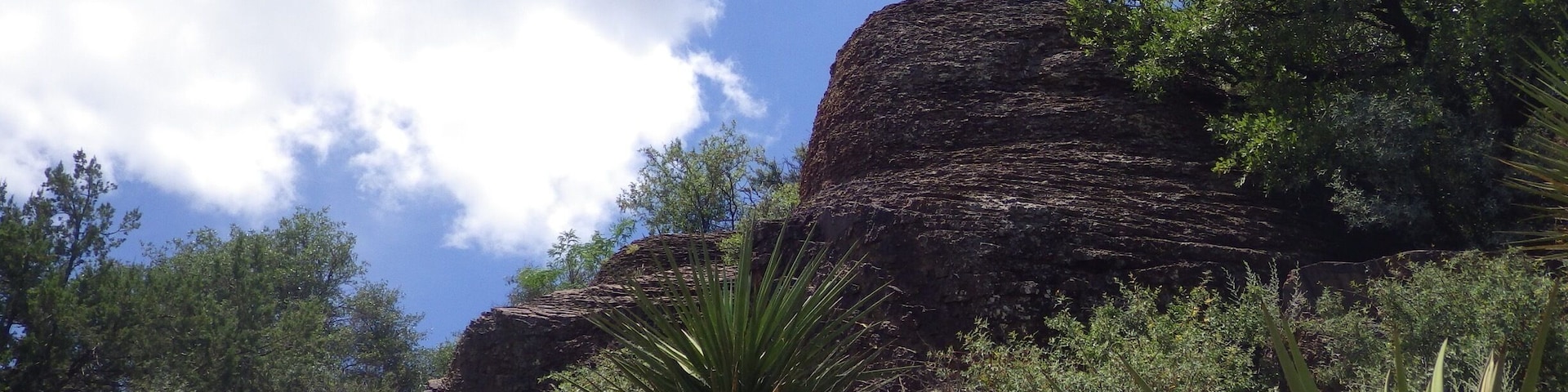 The desert doesn't get enough credit. #davismountains