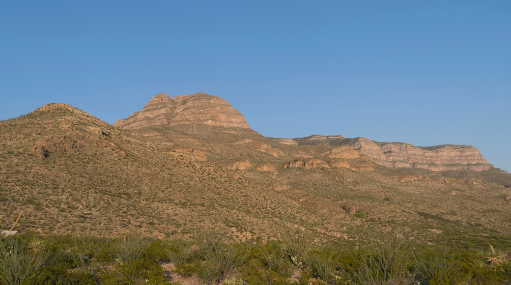 Sacramento Mountains