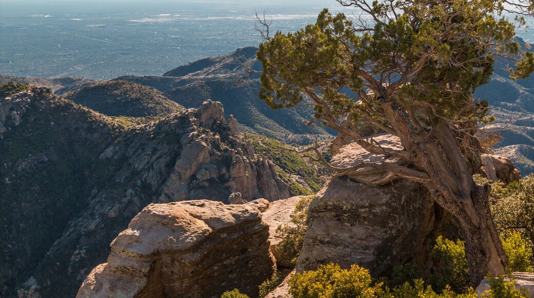 Tuscon Mountains From Windy Point Vista,Mount Lemmon, Santa Catalina Mountains, Coronado National Forest, Arizona, USA