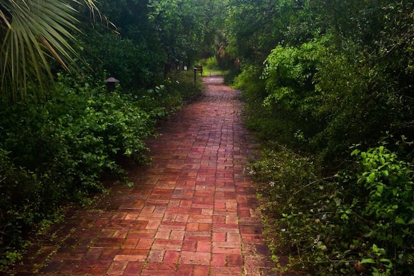 The lovely sound of birds singing from every direction.
