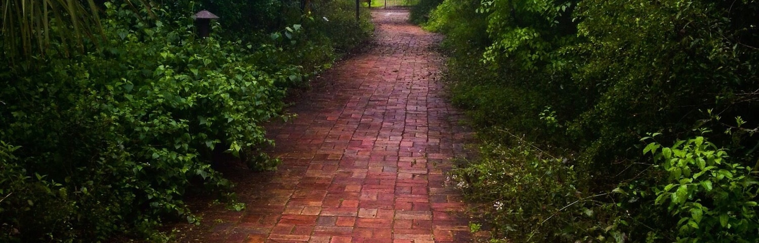 The lovely sound of birds singing from every direction.