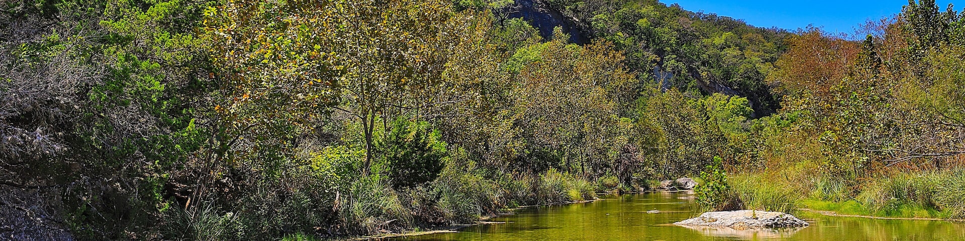 A clear river surrounded by dense green forest and a rocky hillside.