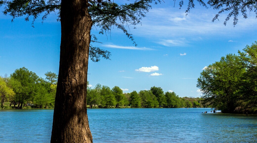 커빌-슈라이너 공원