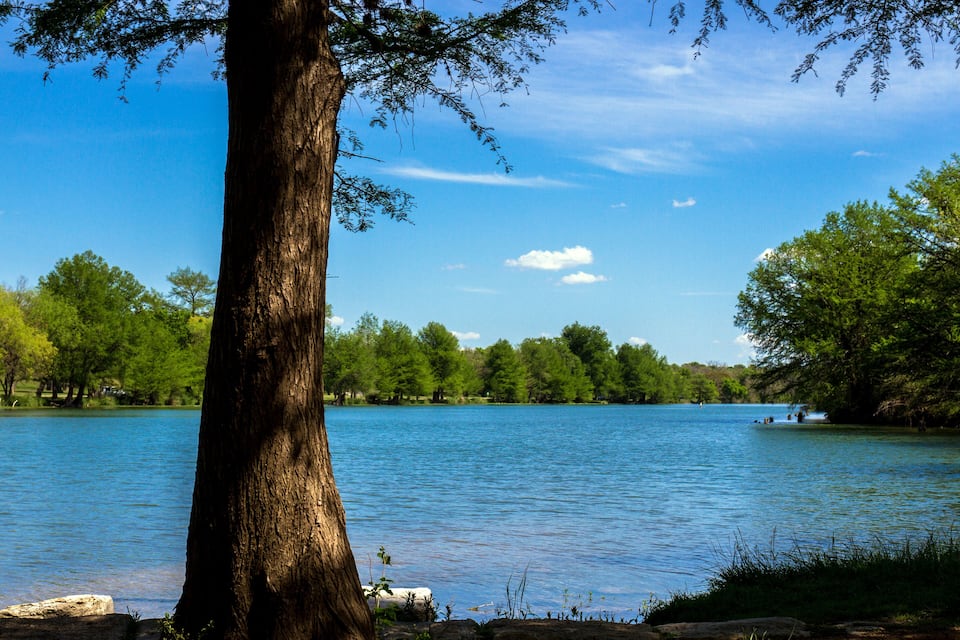A lake surrounded by trees and a clear sky.