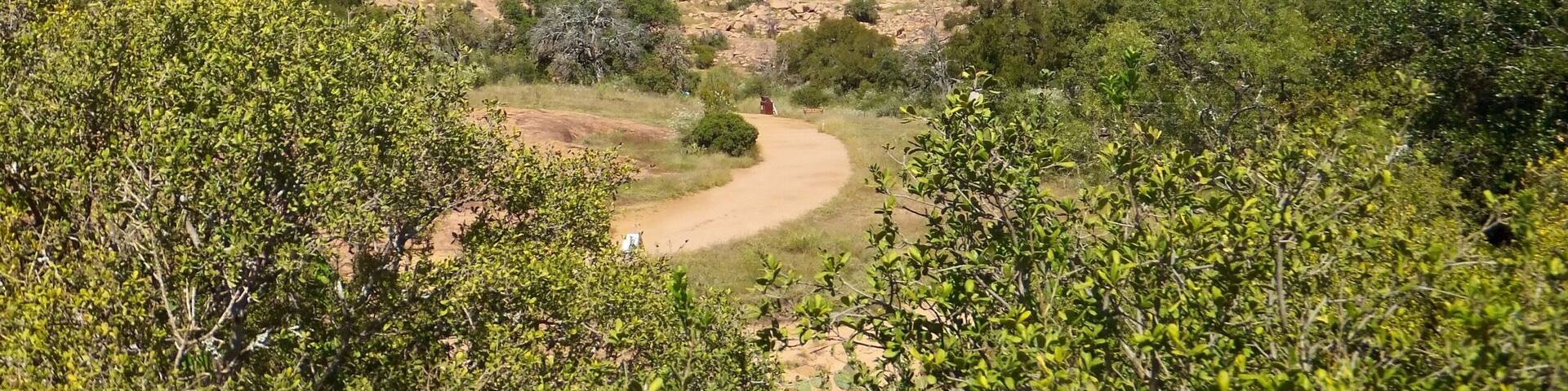 A hill with a dirt path leading to its summit.