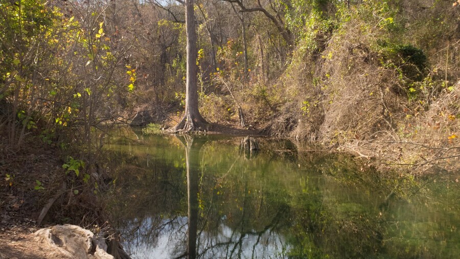 ค่ายเบน แมคคัลล็อค