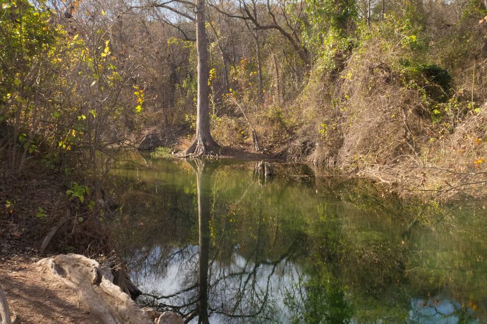 Une rivière paisible où se reflètent les arbres, et un grand tronc d’arbre tombé qui se trouve au premier plan.