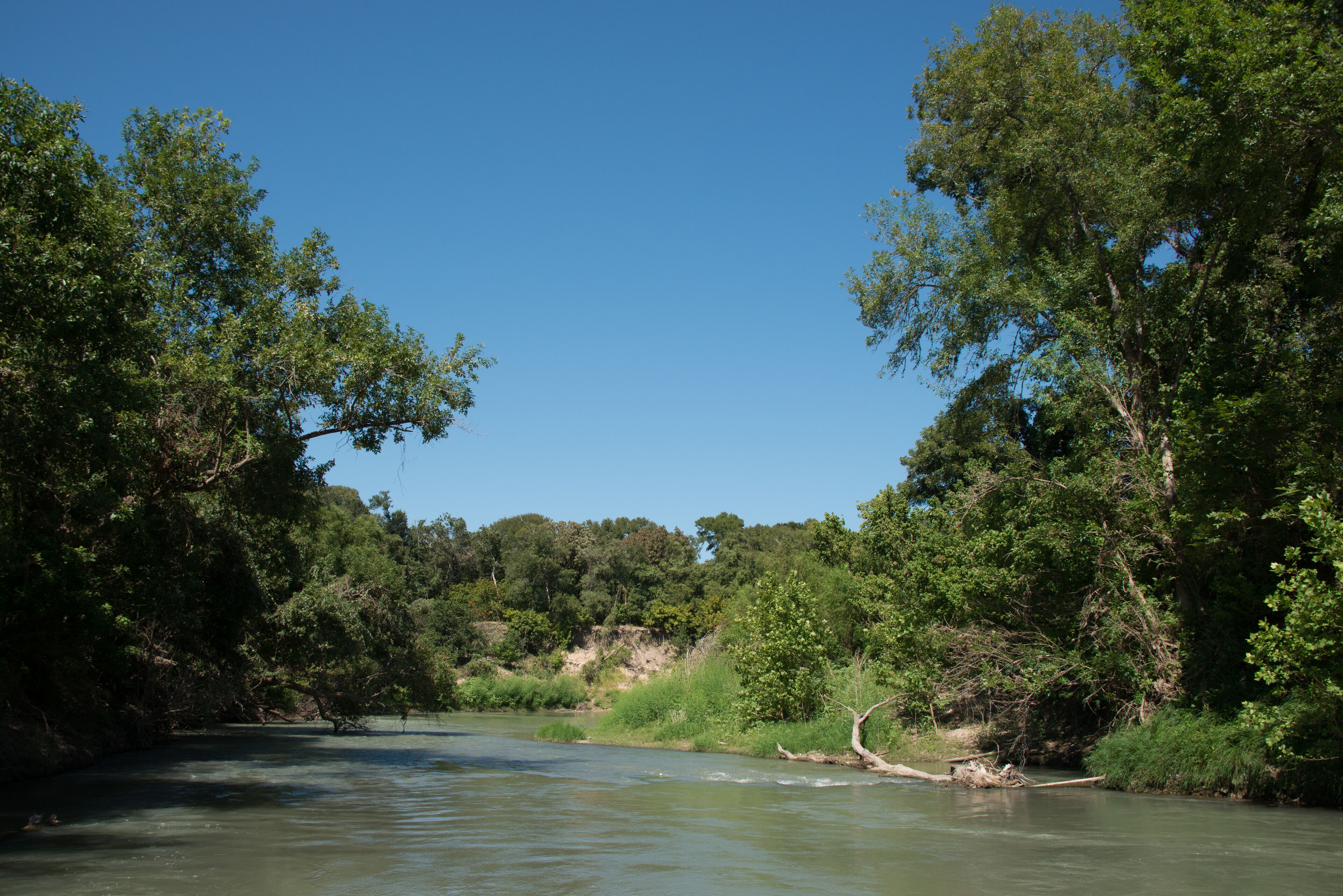 Palmetto State Park in Texas